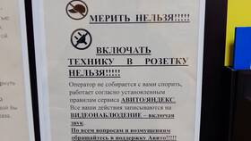 Что нельзя отправлять Авито Доставкой в Гулливер
