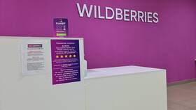 Что означает задержка доставки Wildberries в Гулливер