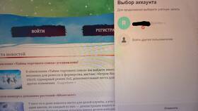 Что входит в аккаунт игры в Гулливер