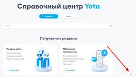 Использование Yota за границей