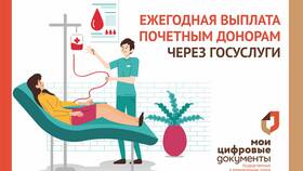 Как оформить декретные выплаты через портал Госуслуги в Гулливер