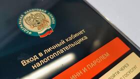 Как проверить налог без регистрации в Гулливер