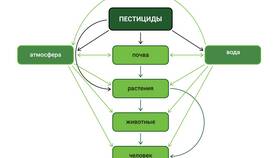 Как растения используют животных в природных процессах в Гулливер