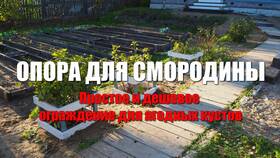 Как сделать опору для кустов смородины в Гулливер