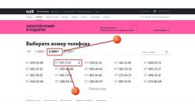 Как узнать услуги Теле2 на телефоне в Гулливер