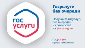 Как ввести СНИЛС при входе на портал Госуслуги в Гулливер