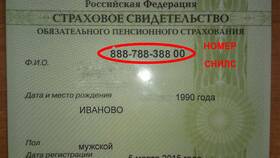 Как выглядит СНИЛС в Российской Федерации в Гулливер