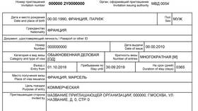 Как выглядит виза в Турцию в Гулливер