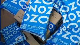 Ozon с нуля: как начать в Гулливер