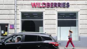 Почему задерживают заказы Wildberries в Гулливер