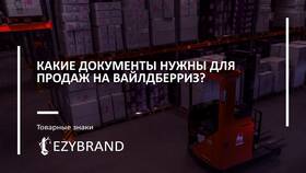Премиум продавец на Wildberries: что это значит в Гулливер