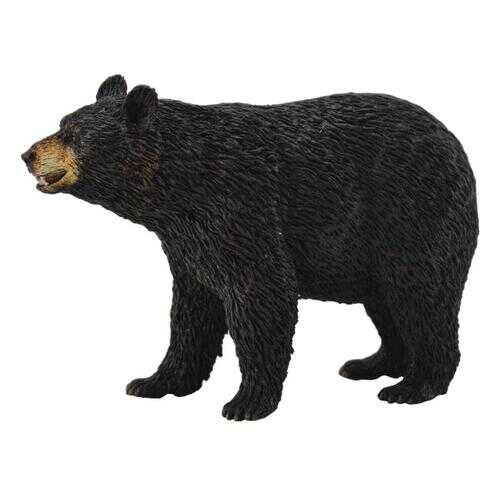 Фигурка collecta американский чёрный медведь в Гулливер