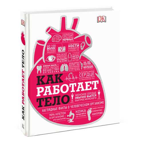 Как работает тело в Гулливер