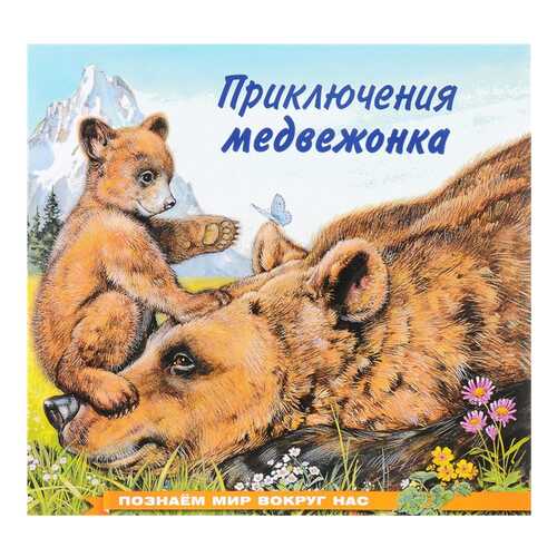 Приключения медвежонка в Гулливер