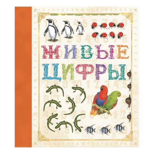 Живые Цифры в Гулливер